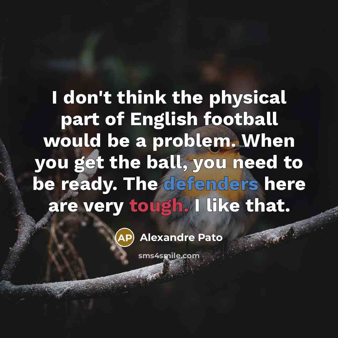 “I don't think the physical part of English football would…” quote by Alexandre Pato