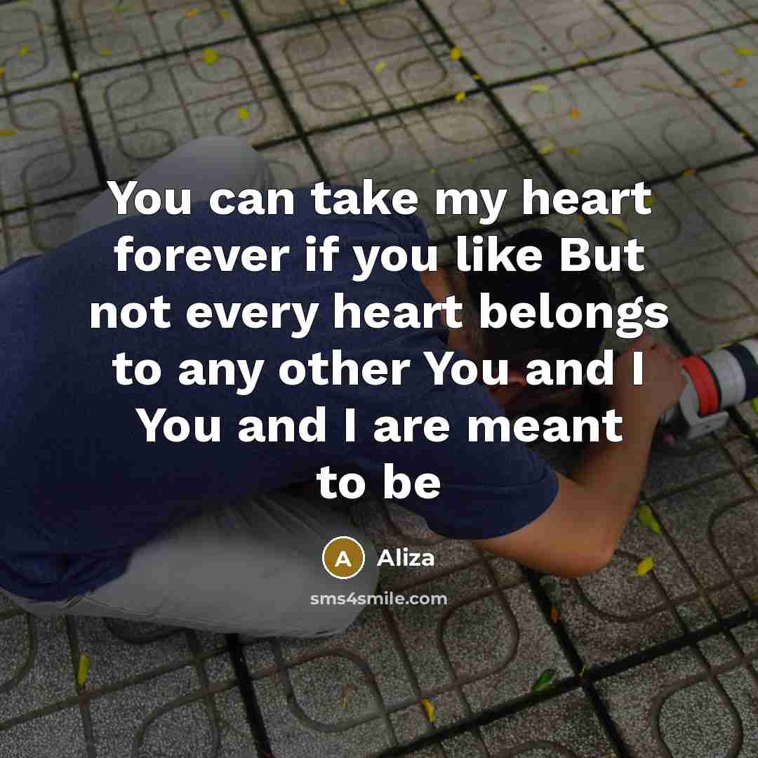 “You can take my heart forever if you like But…” quote by Aliza