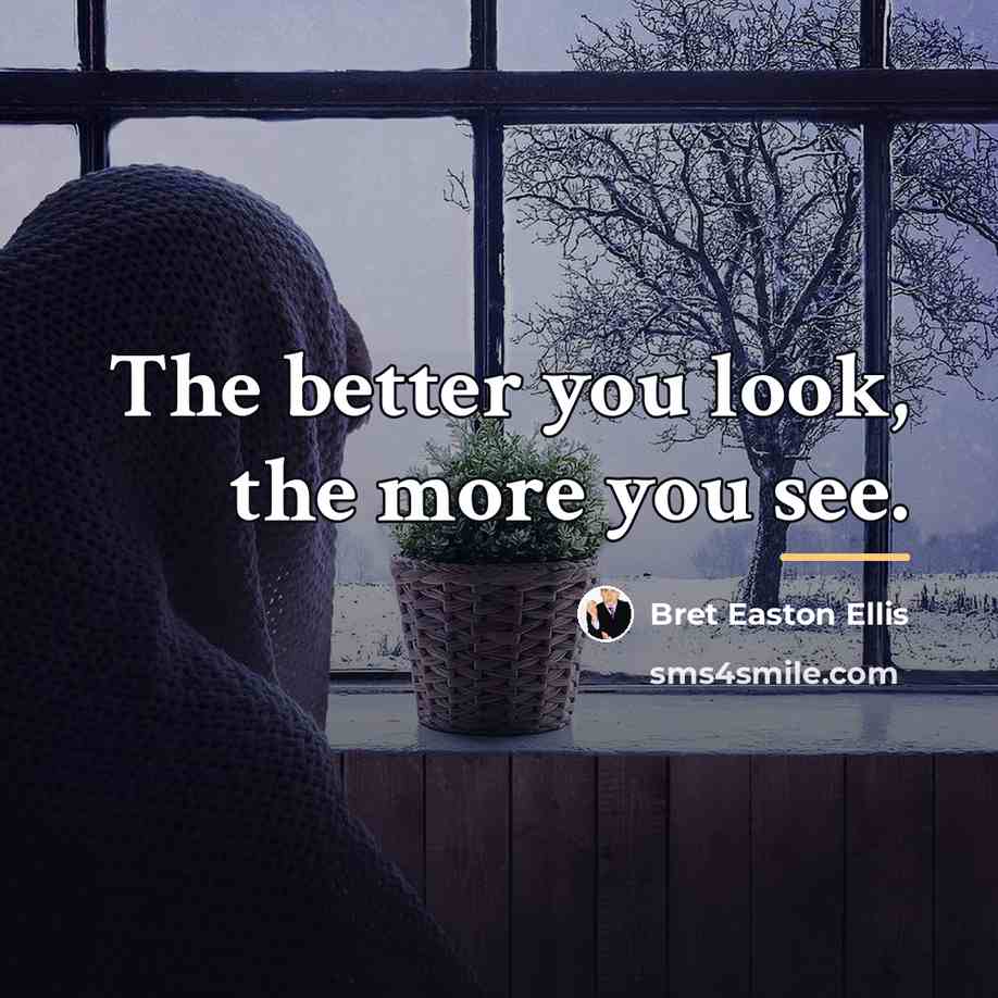 “The better you look, the more you see.…” quote by Bret Easton Ellis