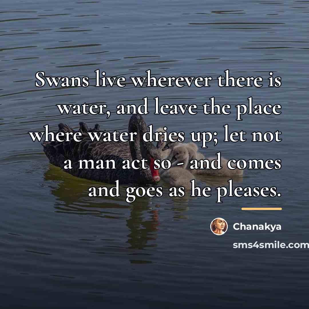 “Swans live wherever there is water, and leave the place…” quote by Chanakya