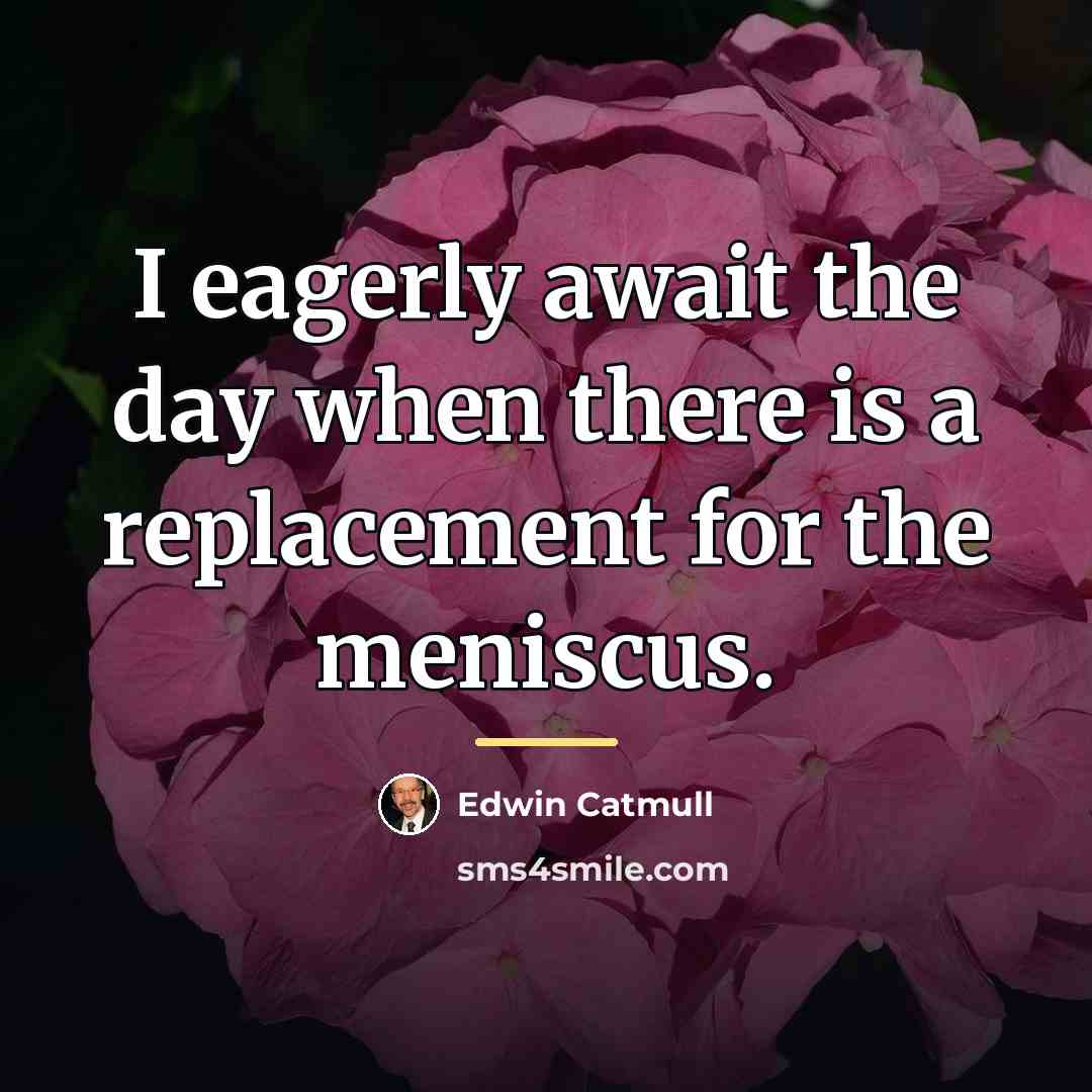 “I eagerly await the day when there is a replacement…” quote by Edwin Catmull
