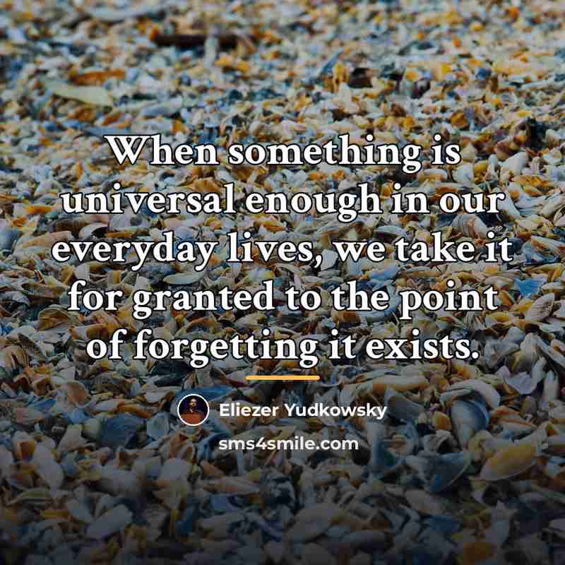 “When something is universal enough in our everyday lives, we…” quote by Eliezer Yudkowsky