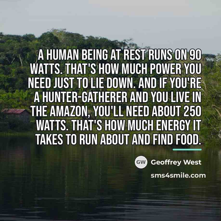 “A human being at rest runs on 90 watts. That's…” quote by Geoffrey West