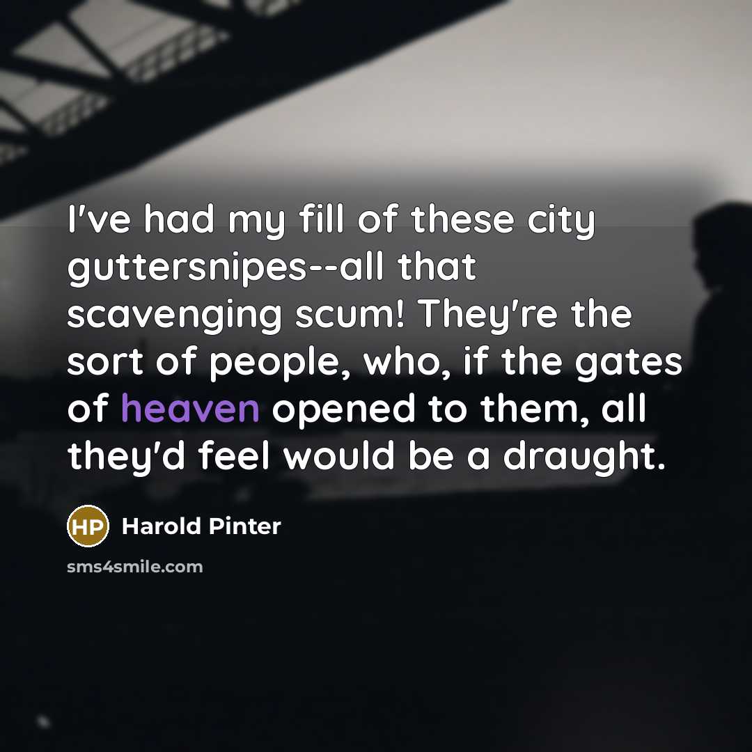 “I've had my fill of these city guttersnipes--all that scavenging…” quote by Harold Pinter