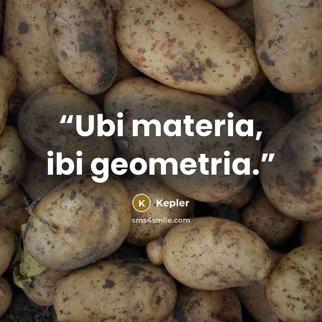 “Ubi materia, ibi geometria.” quote by Kepler