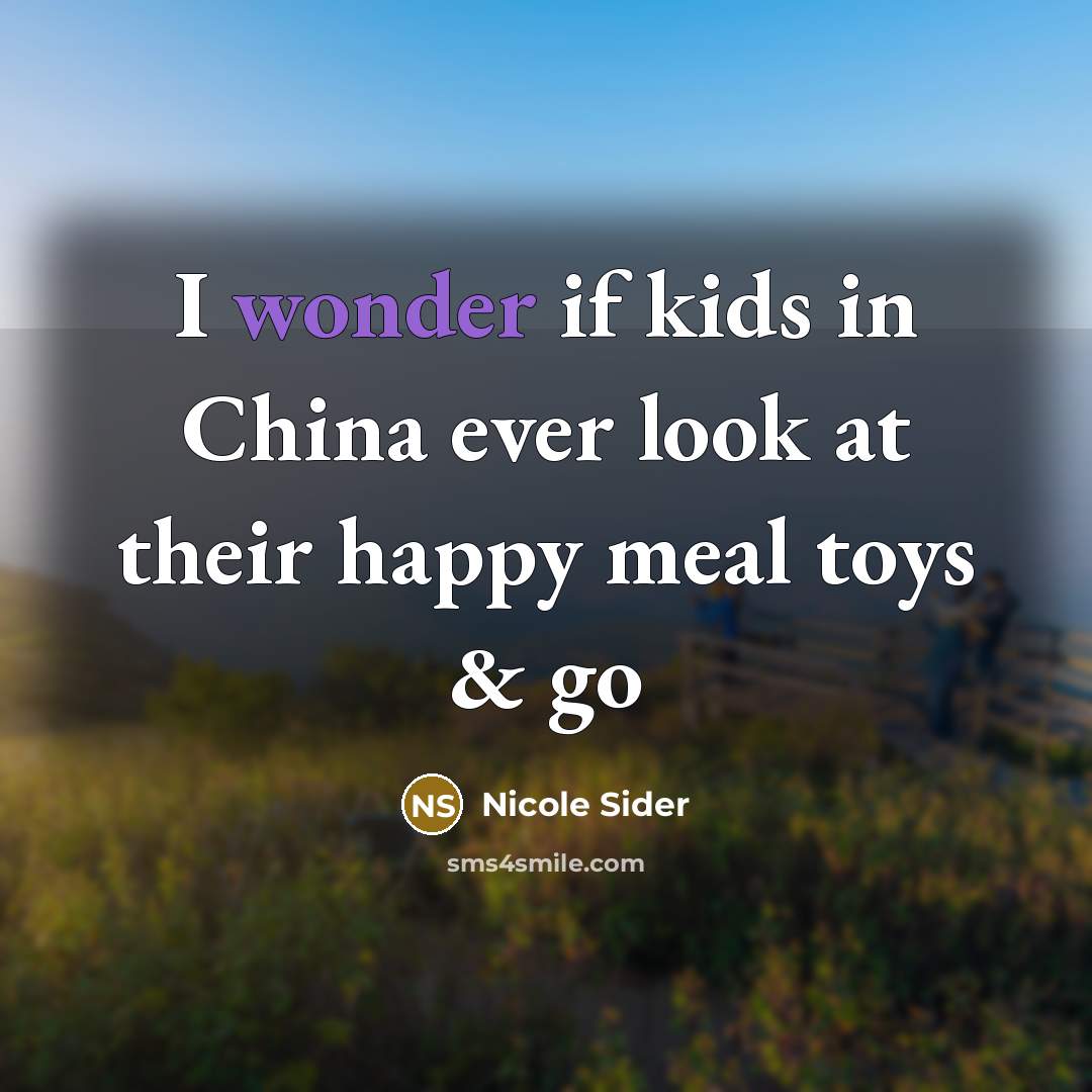“I wonder if kids in China ever look at their happy meal toys & go” quote by Nicole Sider
