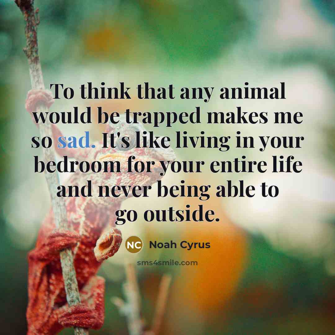 “To think that any animal would be trapped makes me…” quote by Noah Cyrus