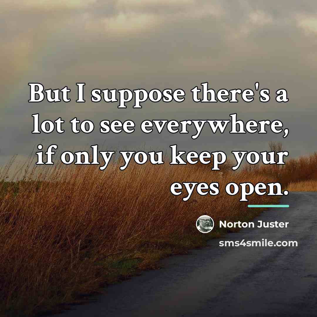 “But I suppose there's a lot to see everywhere, if…” quote by Norton Juster