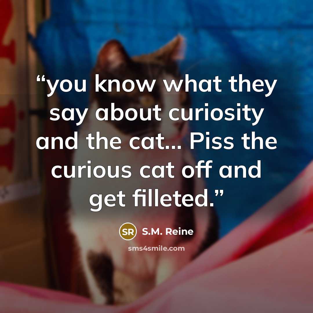 “you know what they say about curiosity and the cat... Piss the curious cat off and get filleted.” quote by S.M. Reine