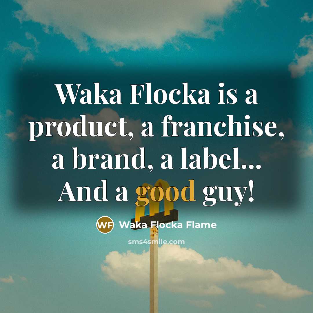 “Waka Flocka is a product, a franchise, a brand, a…” quote by Waka Flocka Flame