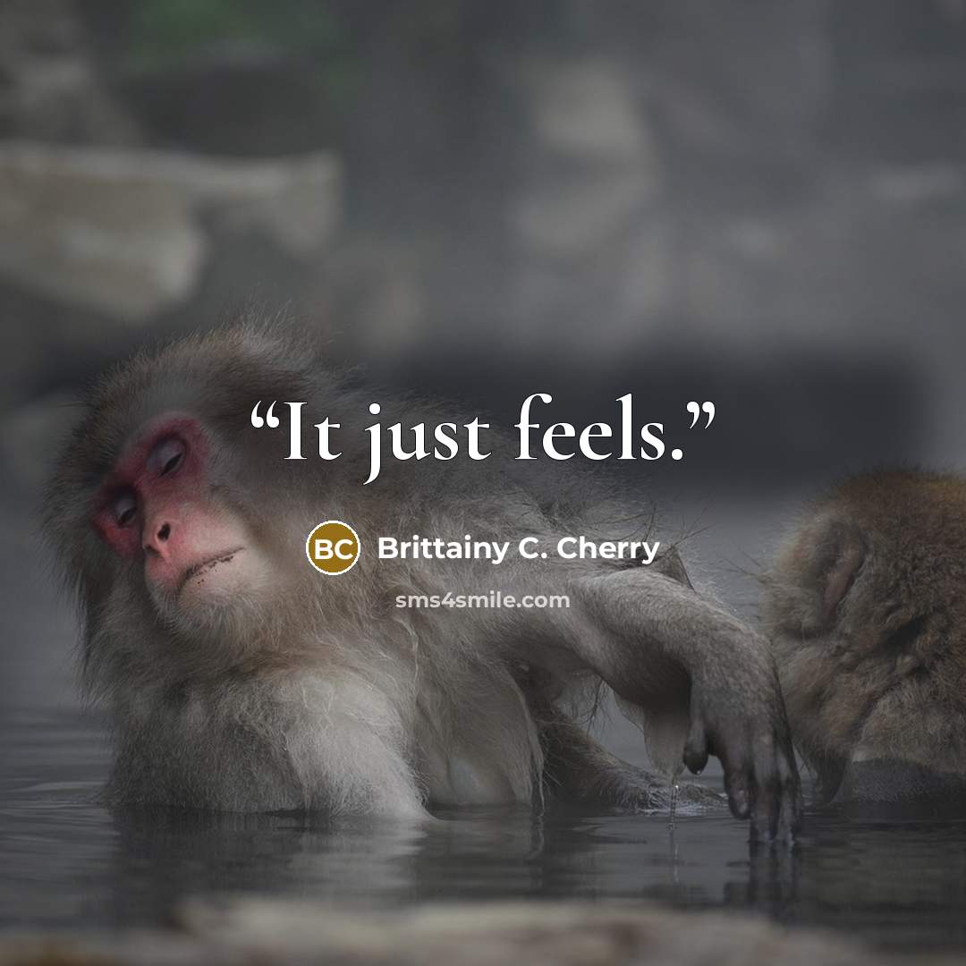 “It just feels.” quote by Brittainy C. Cherry