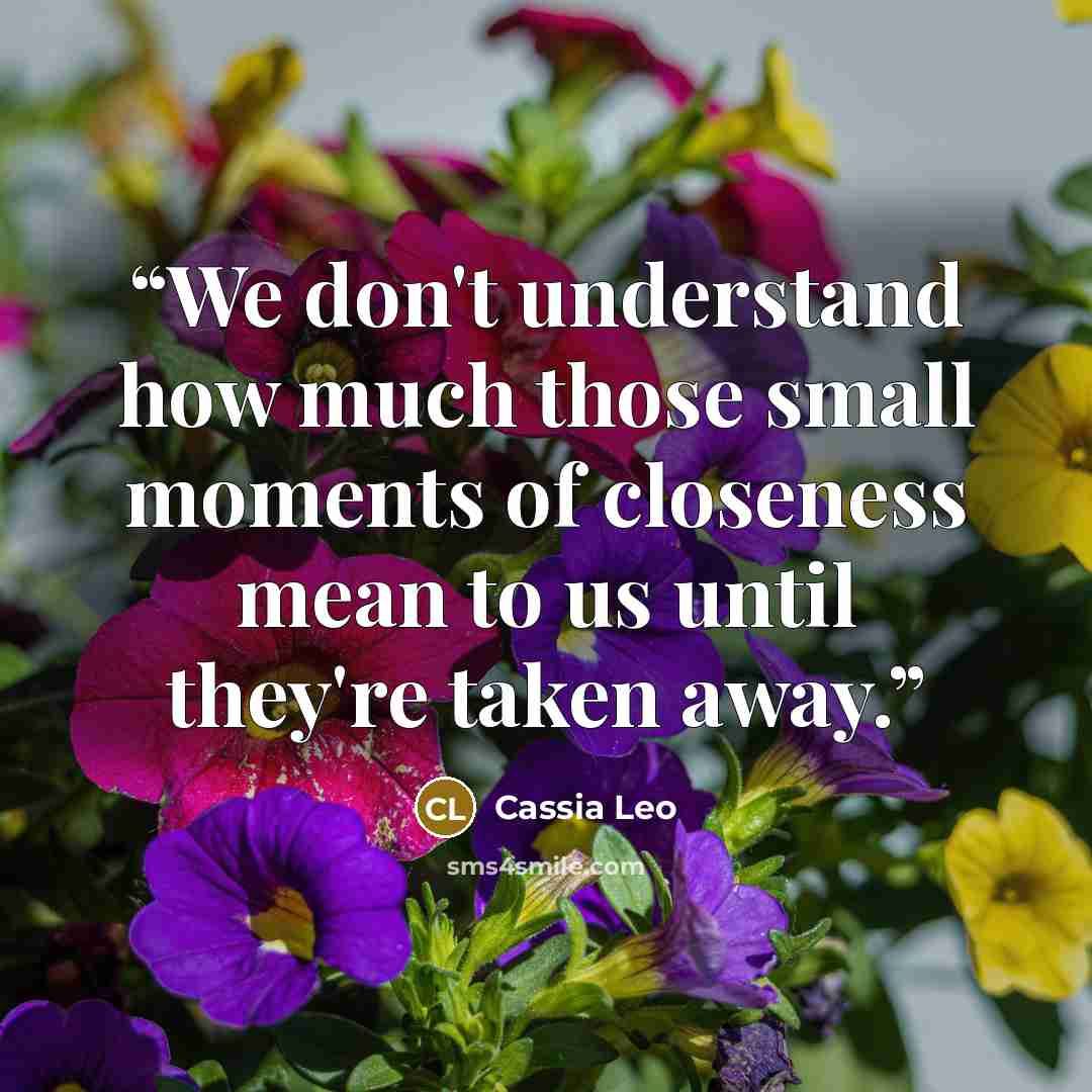“We don't understand how much those small moments of closeness mean to us until they're taken away.” quote by Cassia Leo