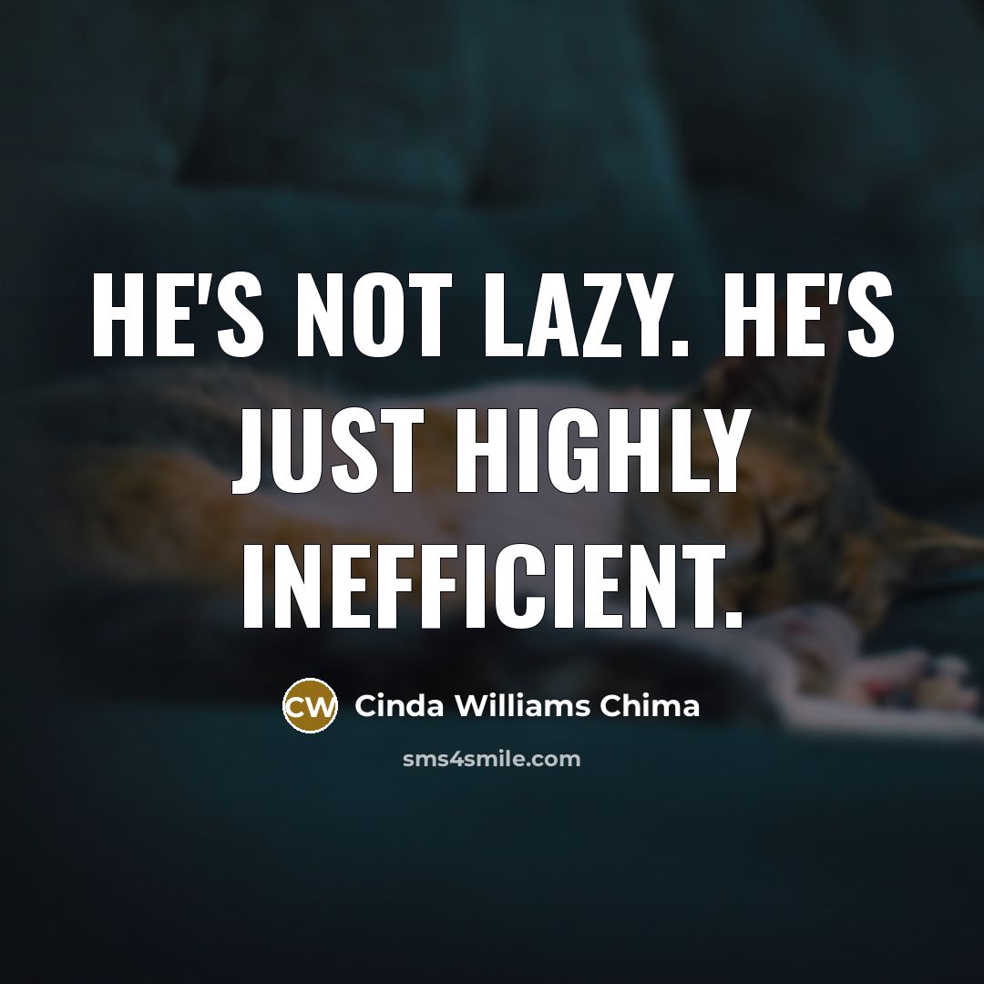 “He's not lazy. He's just highly inefficient.…” quote by Cinda Williams Chima