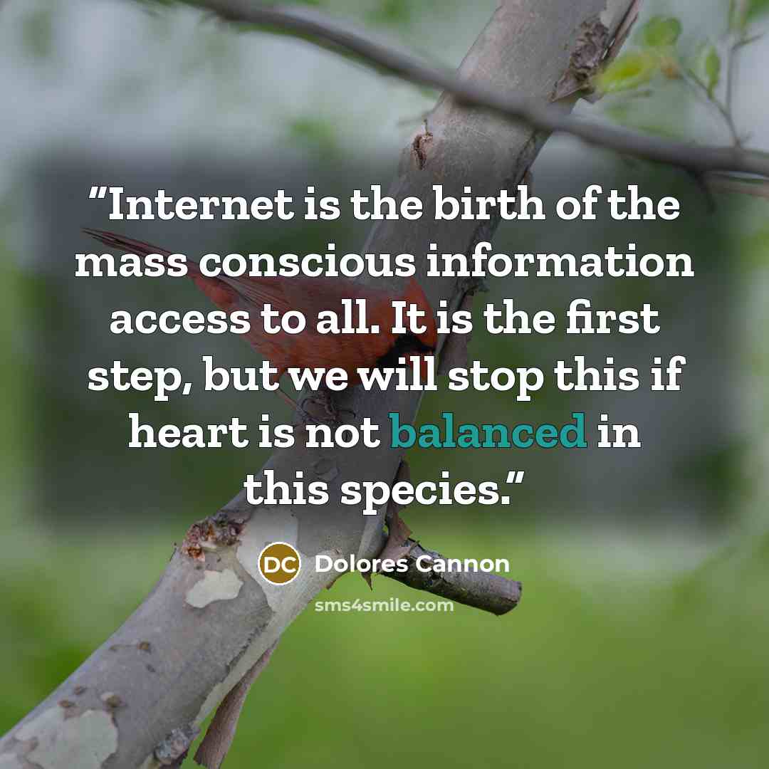 “Internet is the birth of the mass conscious information access to all. It is the first step, but we will stop this if heart is not balanced in this species.” quote by Dolores Cannon