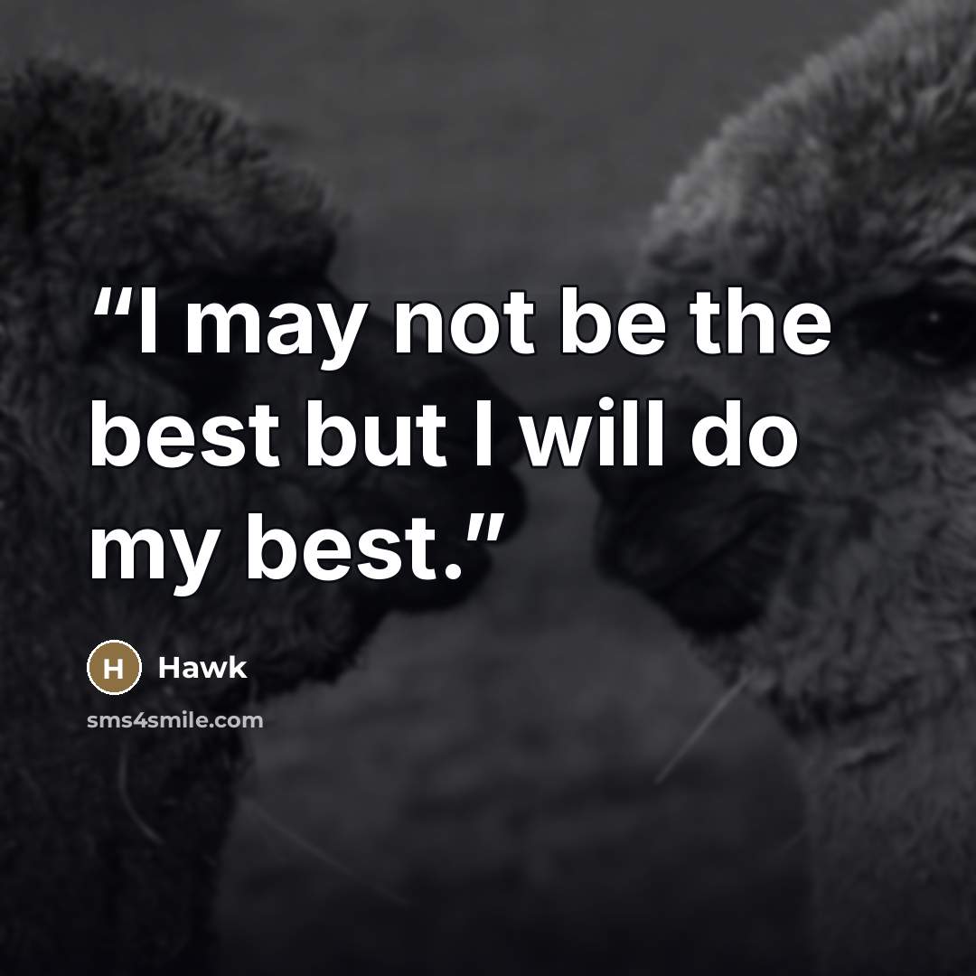 “I may not be the best but I will do my best.” quote by Hawk