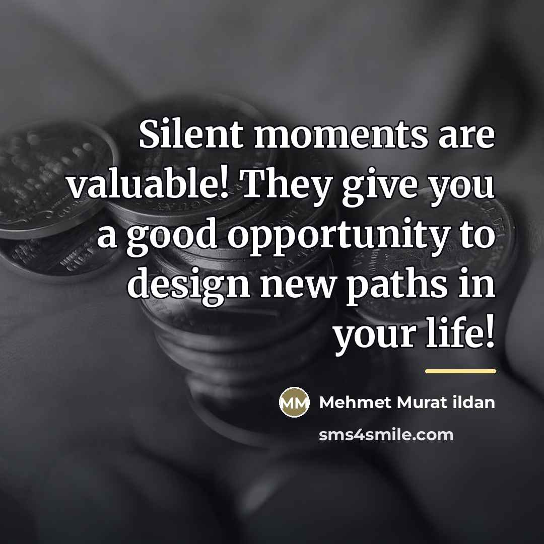 “Silent moments are valuable! They give you a good opportunity…” quote by Mehmet Murat Ildan