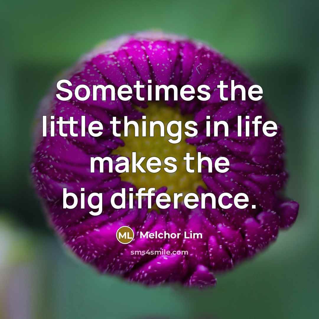 “Sometimes the little things in life makes the big difference.” quote by Melchor Lim