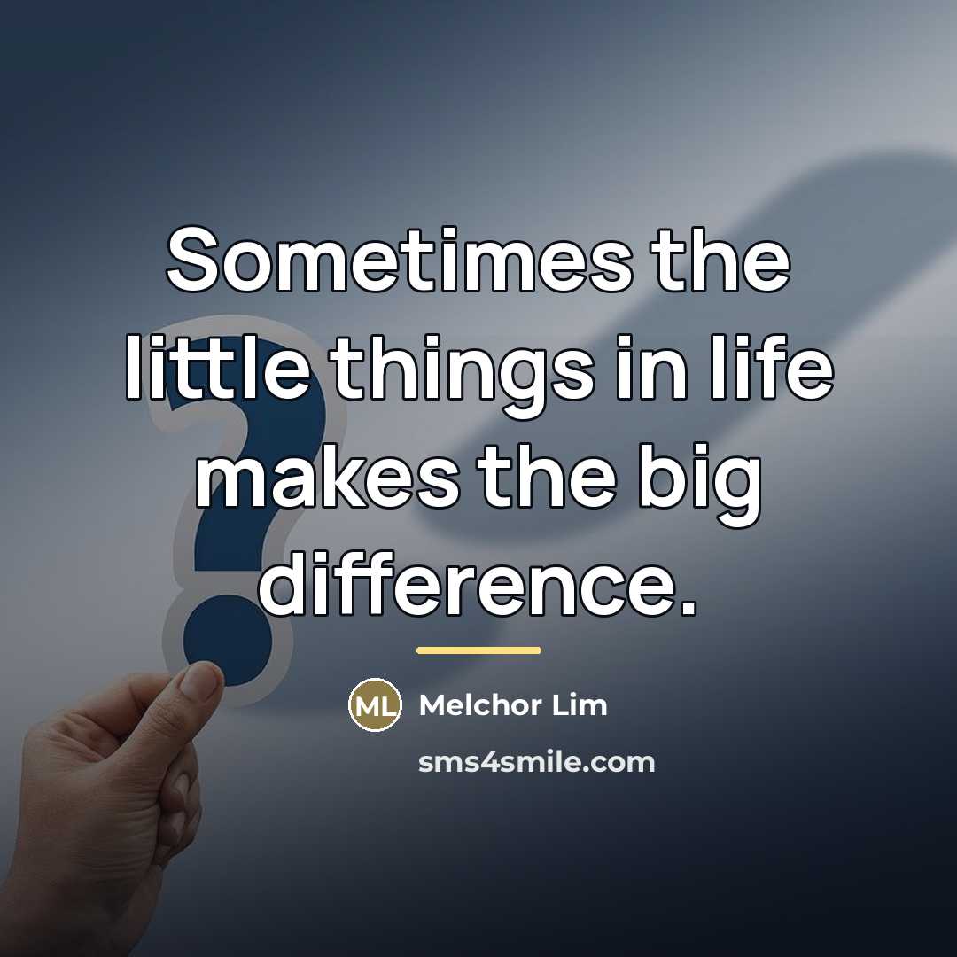 “Sometimes the little things in life makes the big difference.…” quote by Melchor Lim