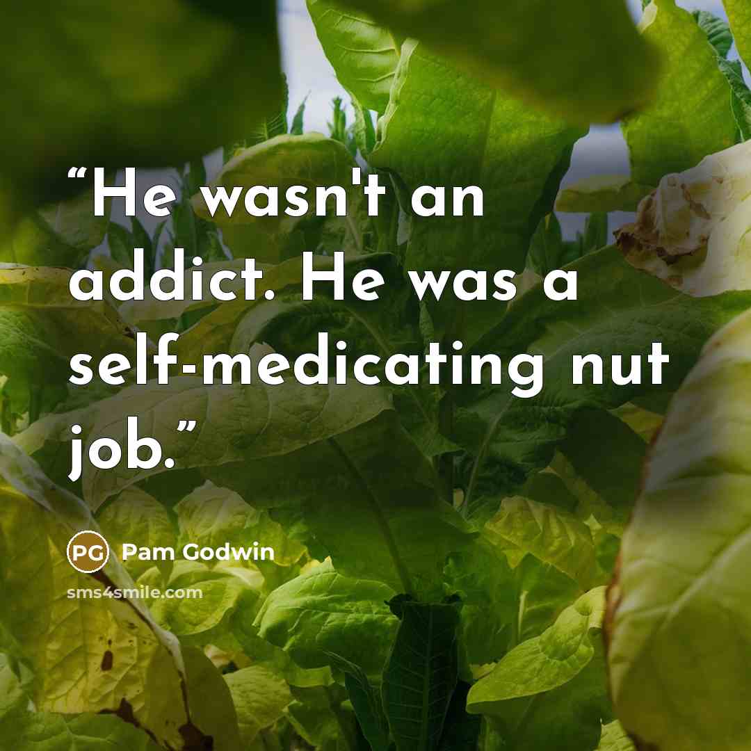 “He wasn't an addict. He was a self-medicating nut job.” quote by Pam Godwin