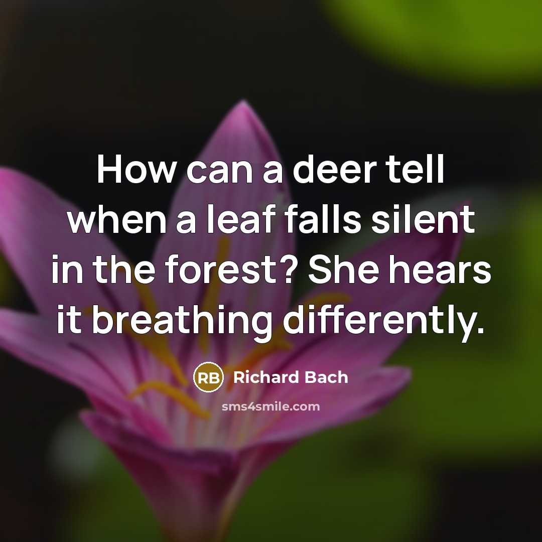 “How can a deer tell when a leaf falls silent…” quote by Richard Bach