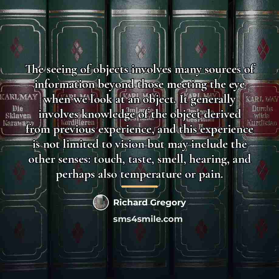 “The seeing of objects involves many sources of information beyond…” quote by Richard Gregory
