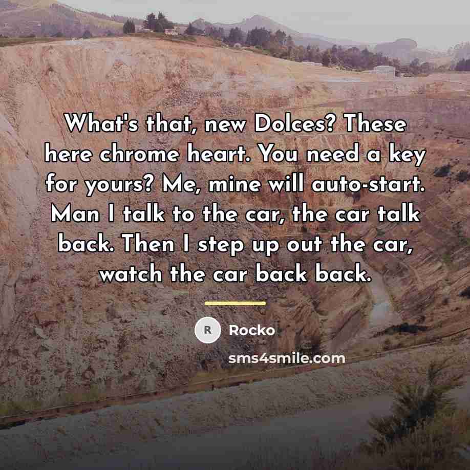 “What's that, new Dolces? These here chrome heart. You need…” quote by Rocko