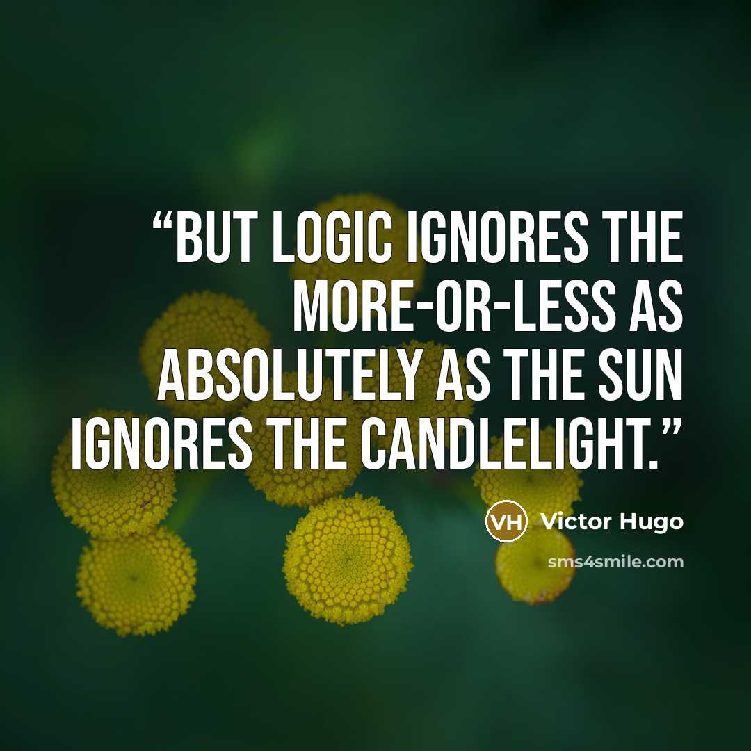 “But logic ignores the more-or-less as absolutely as the sun ignores the candlelight.” quote by Victor Hugo