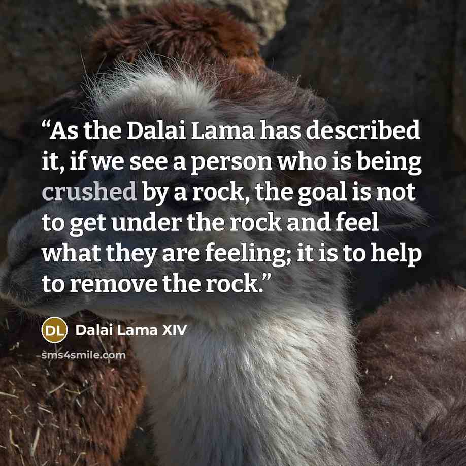 “As the Dalai Lama has described it, if we see a person who is being crushed by a rock, the goal is not to get under the rock and feel what they are feeling; it is to help to remove the rock.” quote by Dalai Lama XIV