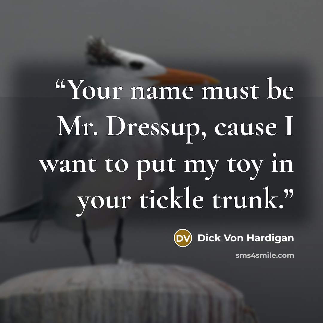 “Your name must be Mr. Dressup, cause I want to put my toy in your tickle trunk.” quote by Dick Von Hardigan