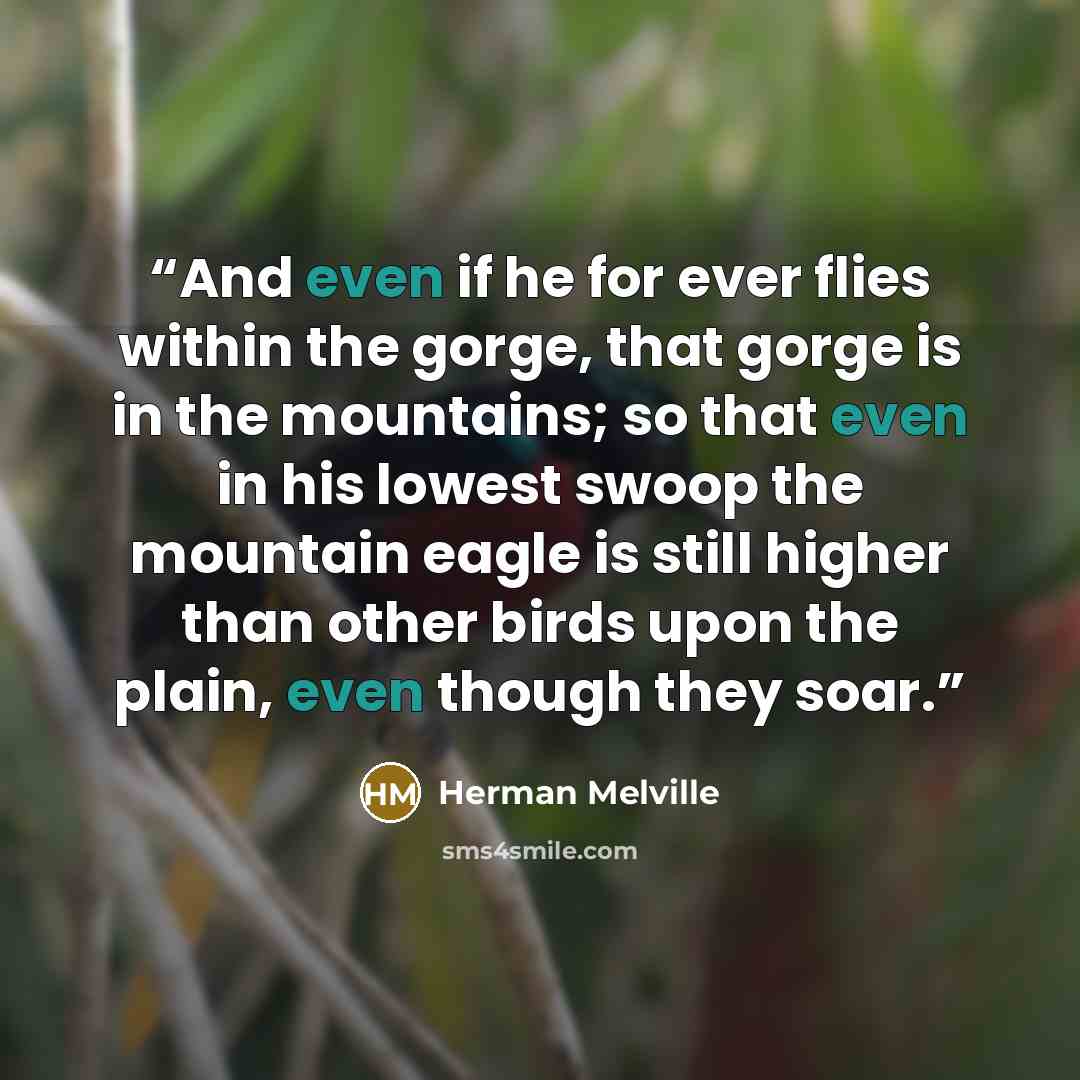 “And even if he for ever flies within the gorge, that gorge is in the mountains; so that even in his lowest swoop the mountain eagle is still higher than other birds upon the plain, even though they soar.” quote by Herman Melville
