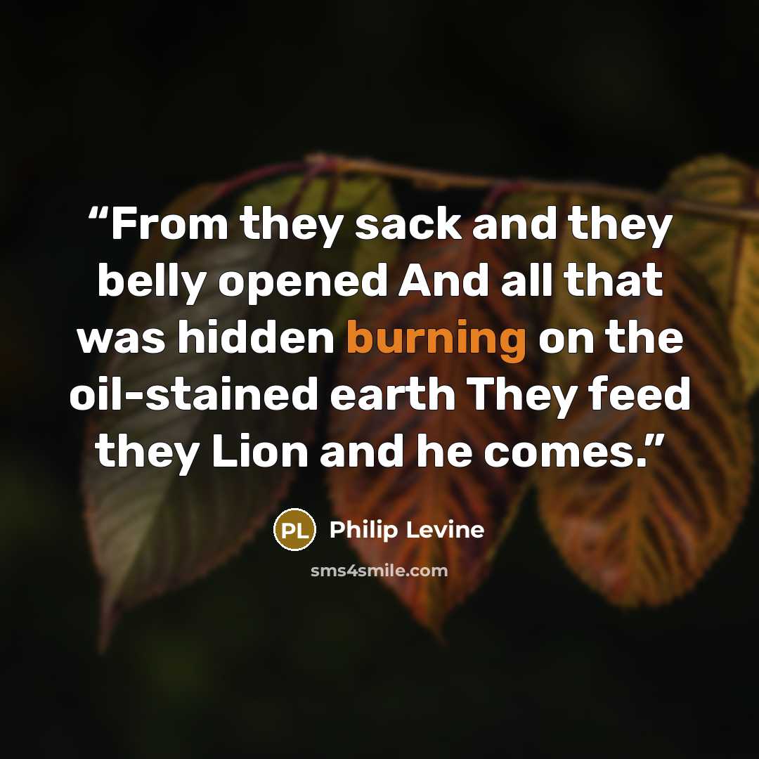 “From they sack and they belly opened And all that was hidden burning on the oil-stained earth They feed they Lion and he comes.” quote by Philip Levine