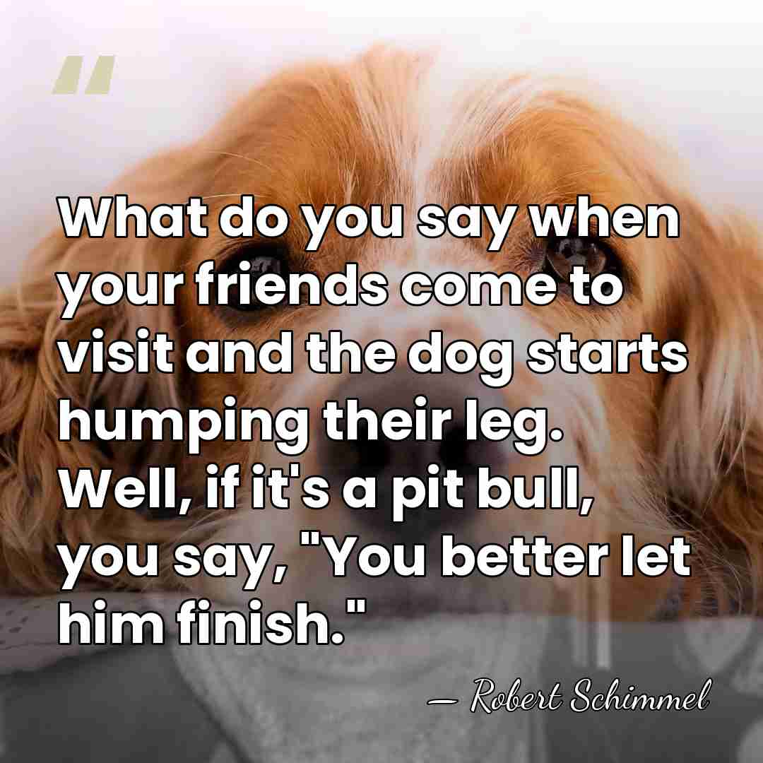What do you say when your friends come to visit and the&hellip; - Robert Schimmel