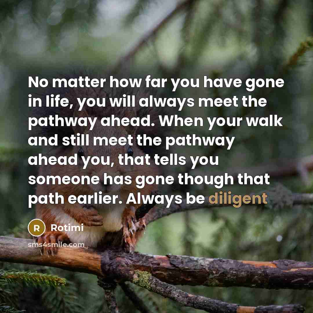 “No matter how far you have gone in life, you will always meet the pathway ahead. When your walk and still meet the pathway ahead you, that tells you someone has gone though that path earlier. Always be diligent” quote by Rotimi