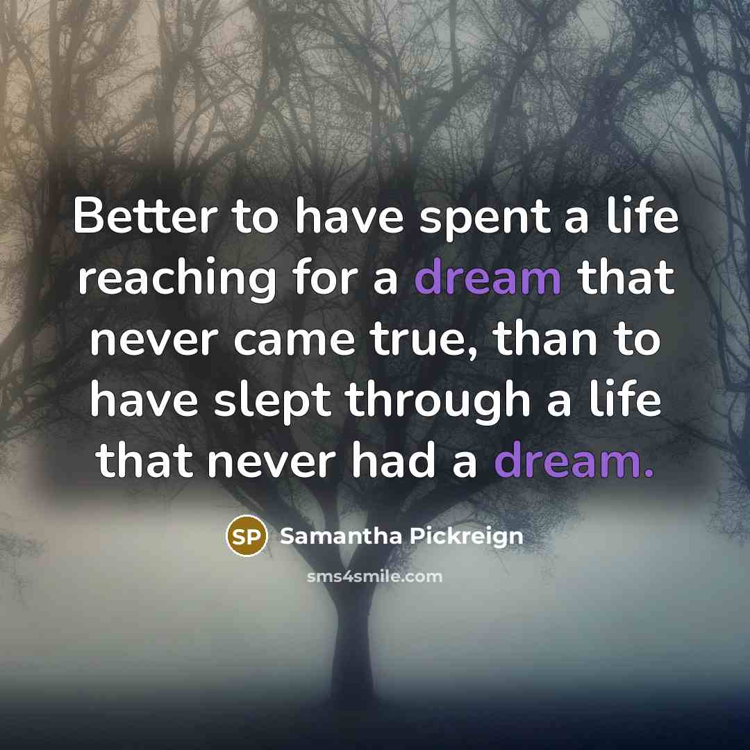 “Better to have spent a life reaching for a dream that never came true, than to have slept through a life that never had a dream.” quote by Samantha Pickreign