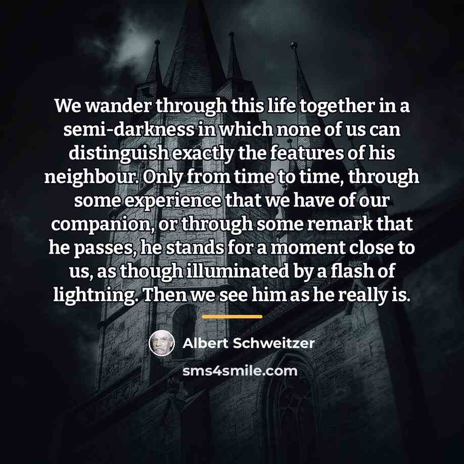 “We wander through this life together in a semi-darkness in…” quote by Albert Schweitzer