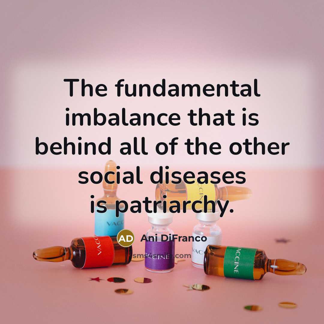 “The fundamental imbalance that is behind all of the other…” quote by Ani DiFranco