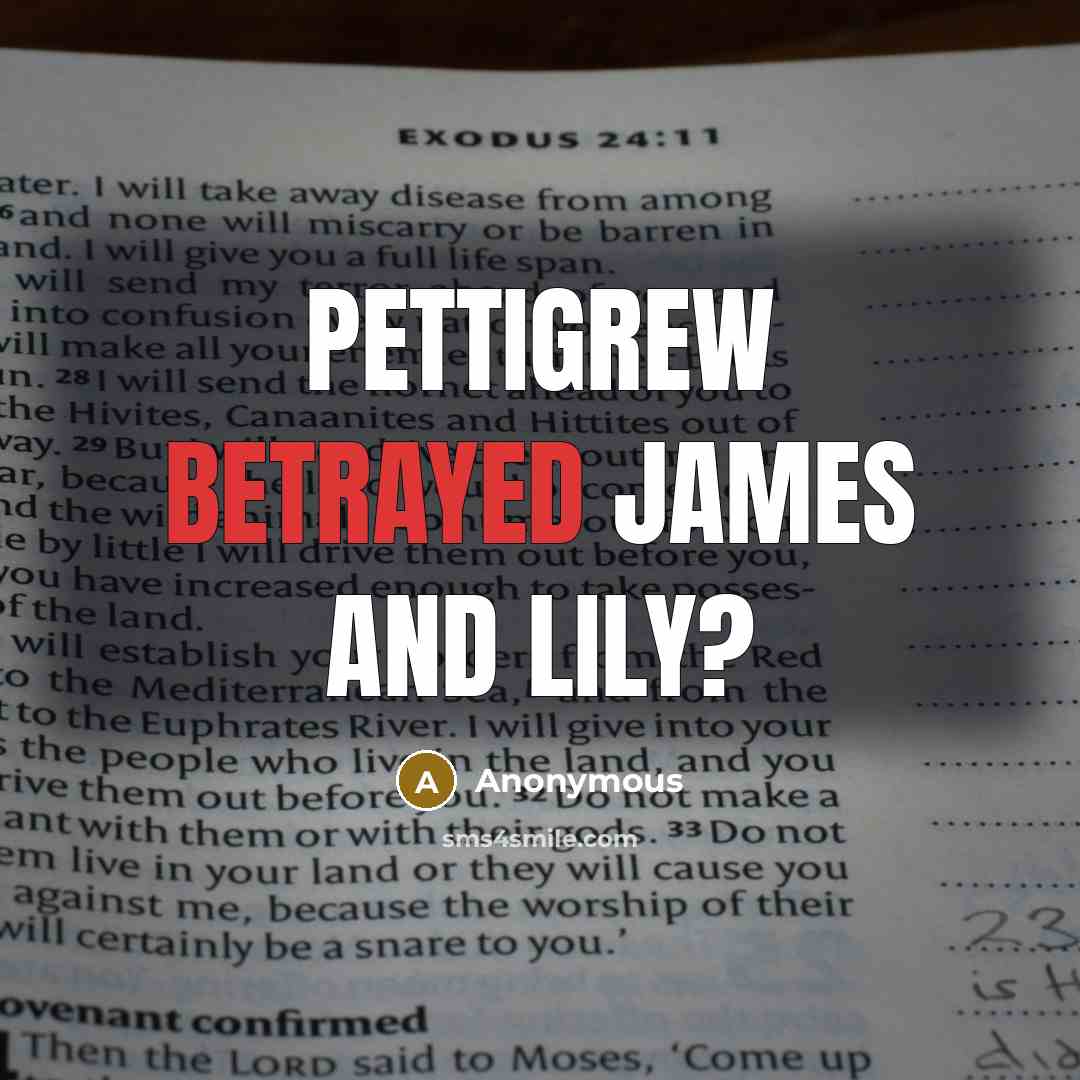 “Pettigrew betrayed james and lily?” quote by Anonymous