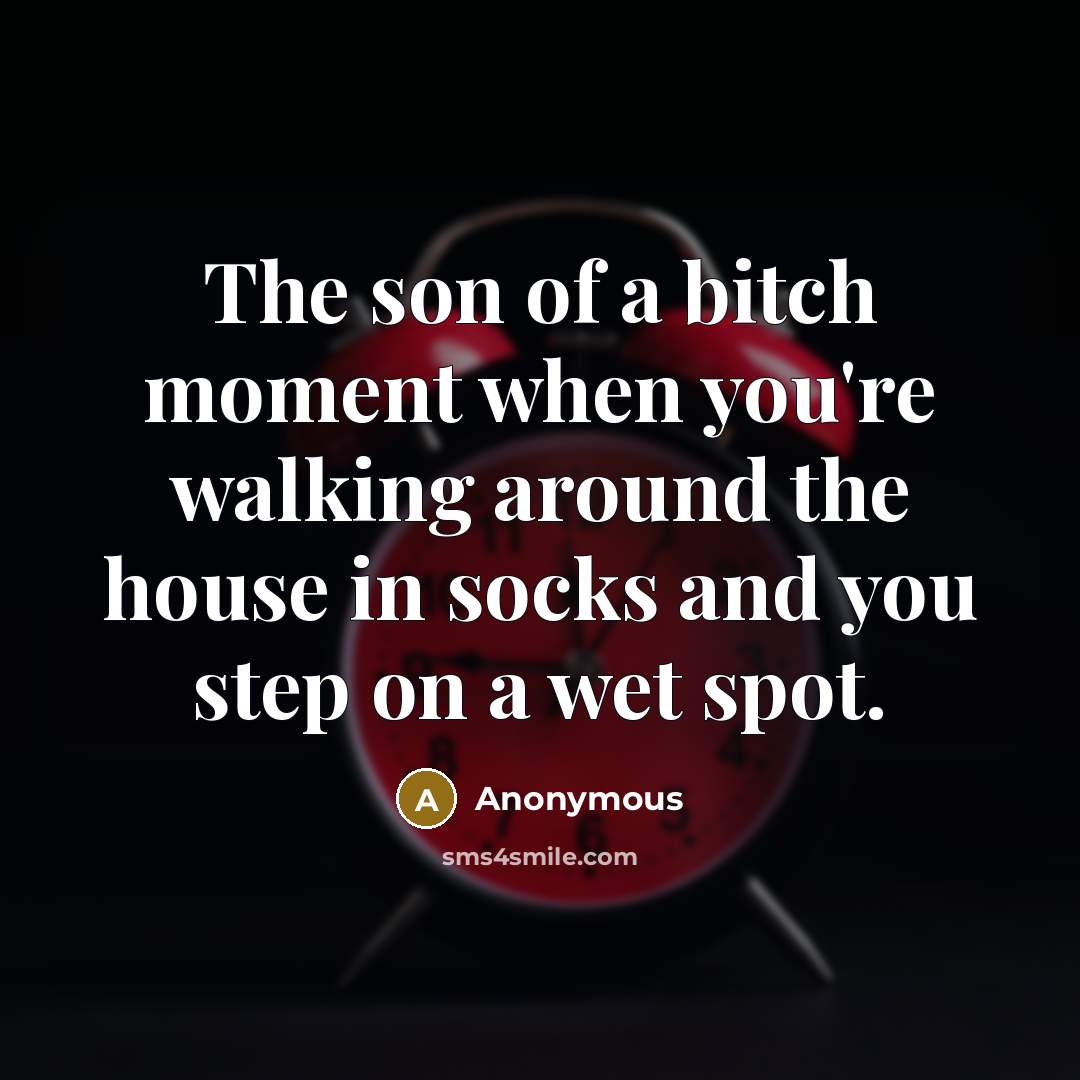 “The son of a bitch moment when you're walking around…” quote by Anonymous