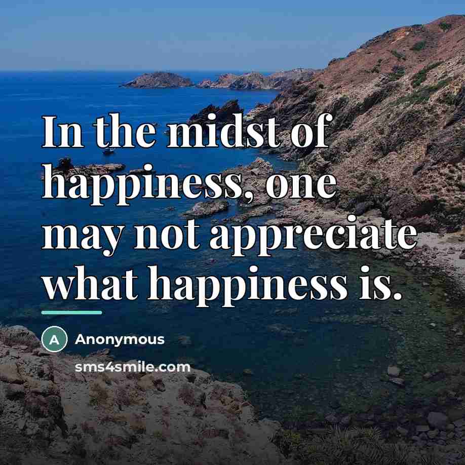 “In the midst of happiness, one may not appreciate what…” quote by Anonymous