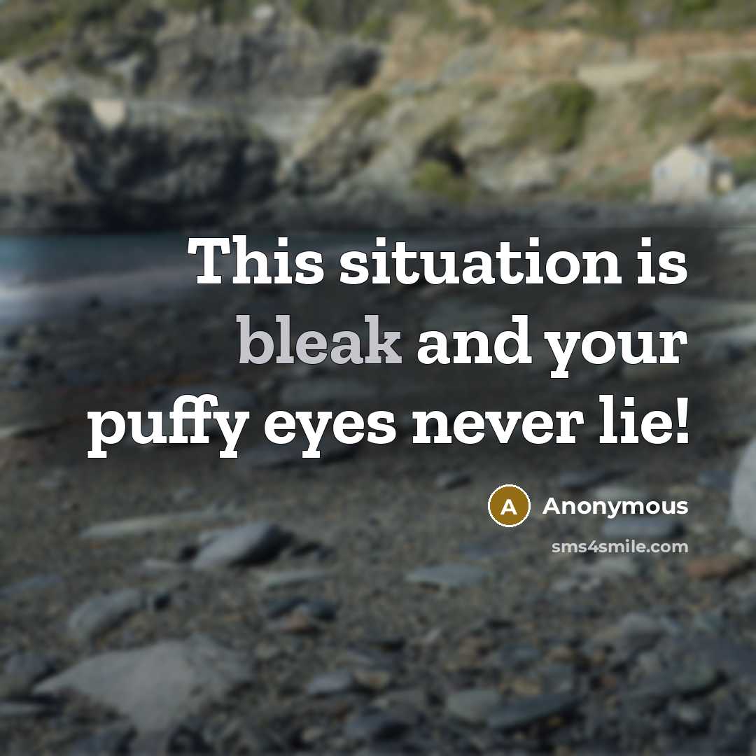 “This situation is bleak and your puffy eyes never lie!” quote by Anonymous
