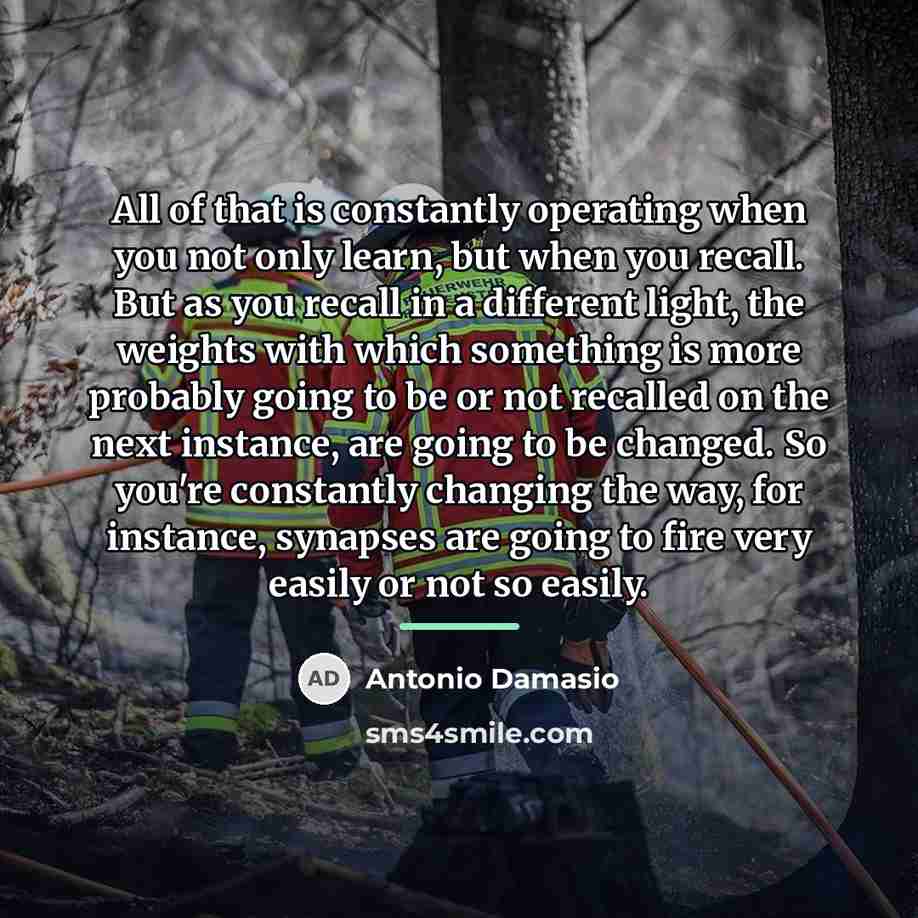 “All of that is constantly operating when you not only…” quote by Antonio Damasio