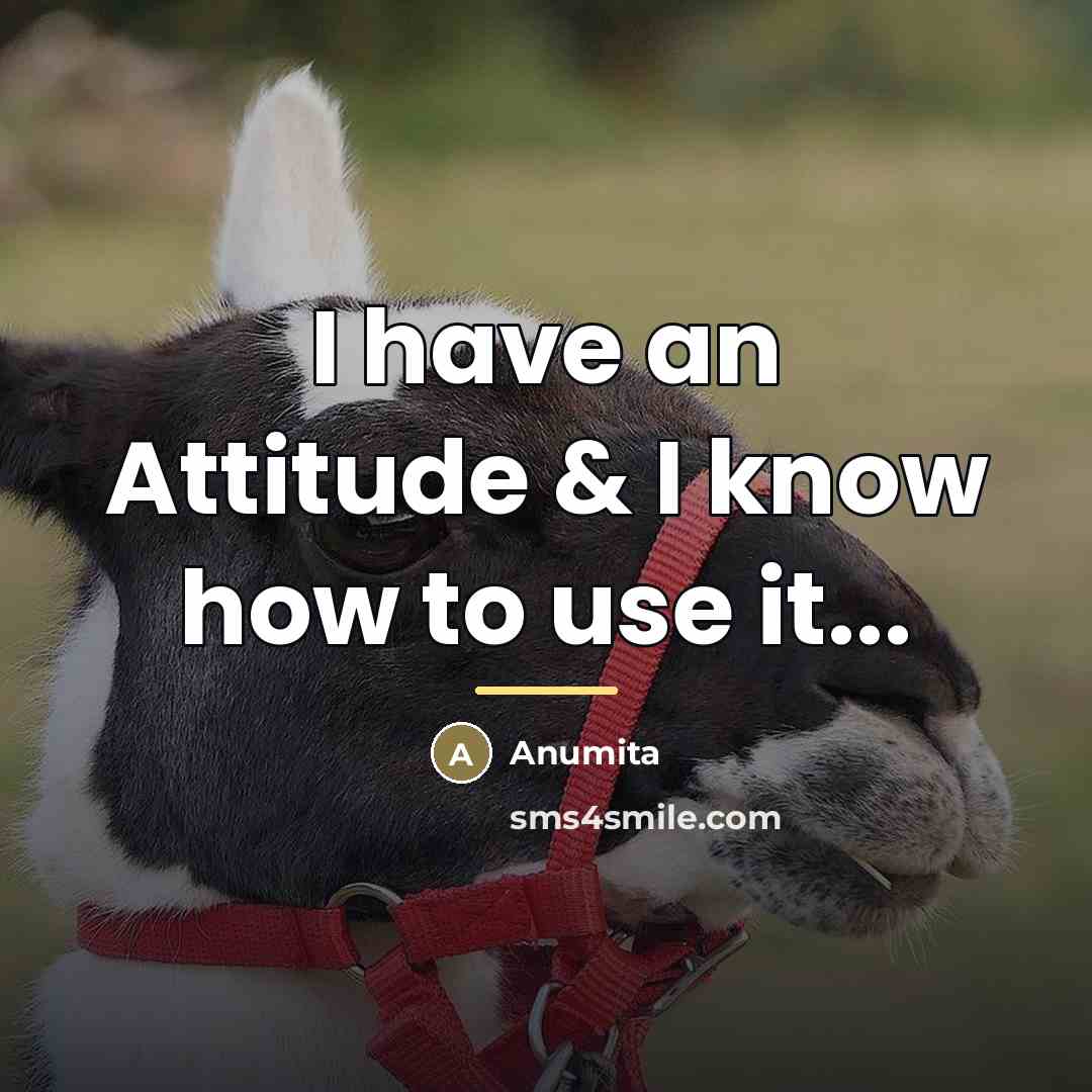 “I have an Attitude & I know how to use…” quote by Anumita