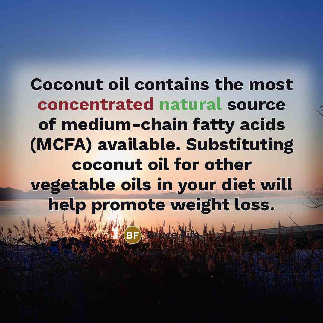 “Coconut oil contains the most concentrated natural source of medium-chain…” quote by Bruce Fife