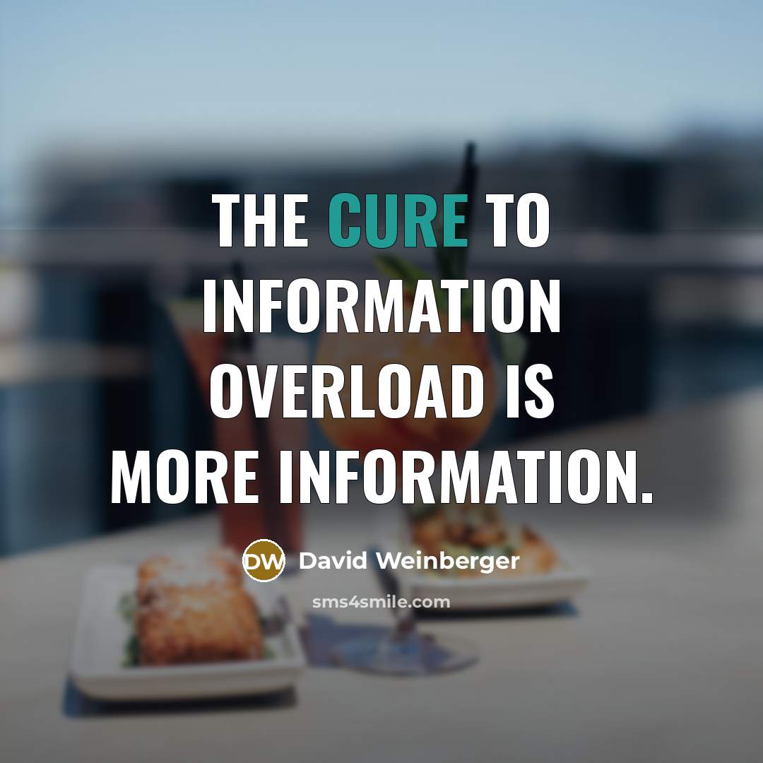 “The cure to information overload is more information.…” quote by David Weinberger