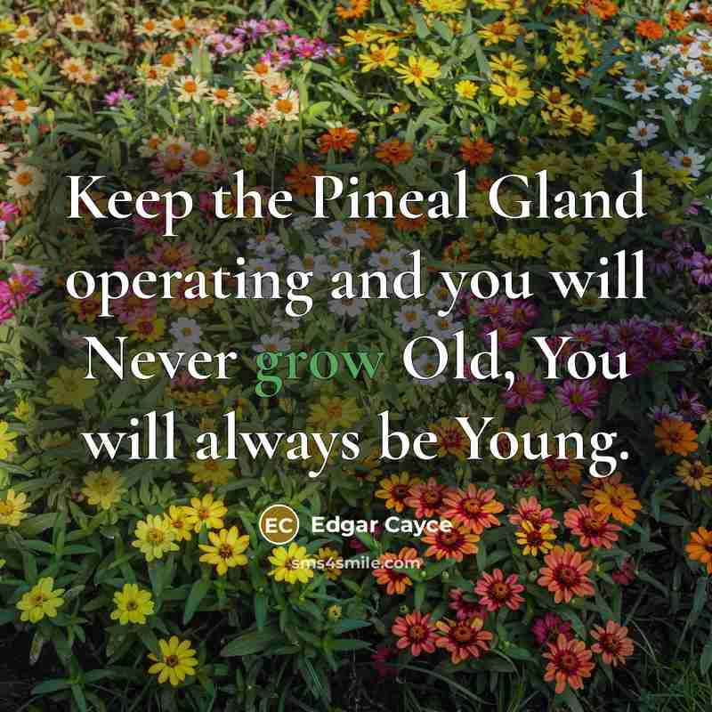 “Keep the Pineal Gland operating and you will Never grow…” quote by Edgar Cayce