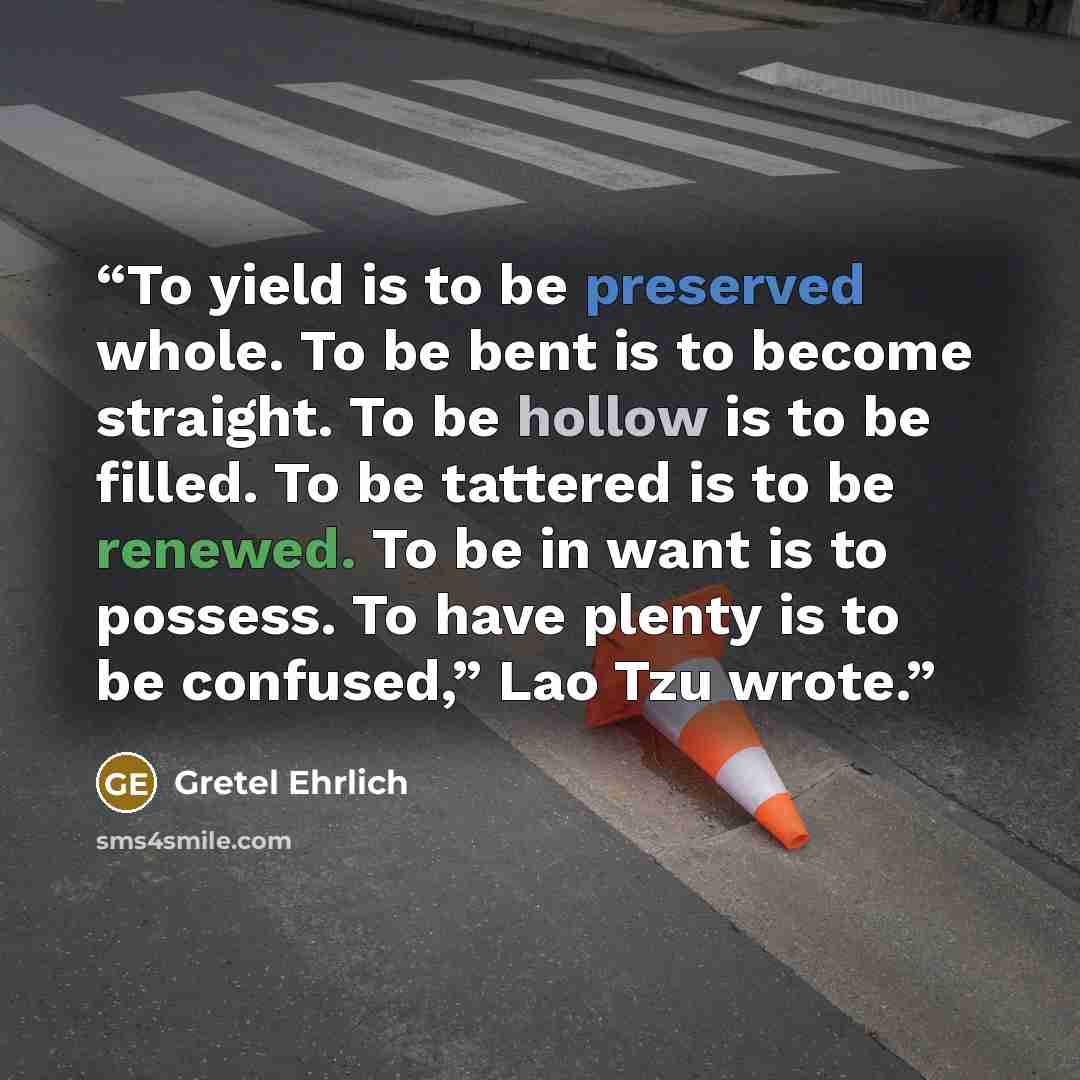 “To yield is to be preserved whole. To be bent is to become straight. To be hollow is to be filled. To be tattered is to be renewed. To be in want is to possess. To have plenty is to be confused,” Lao Tzu wrote.” quote by Gretel Ehrlich