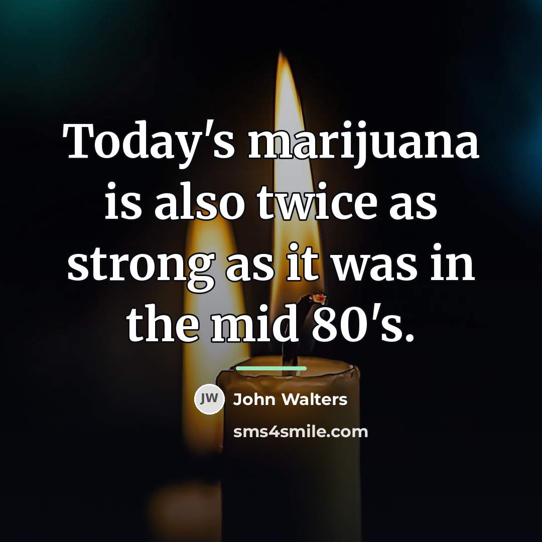 “Today's marijuana is also twice as strong as it was…” quote by John Walters