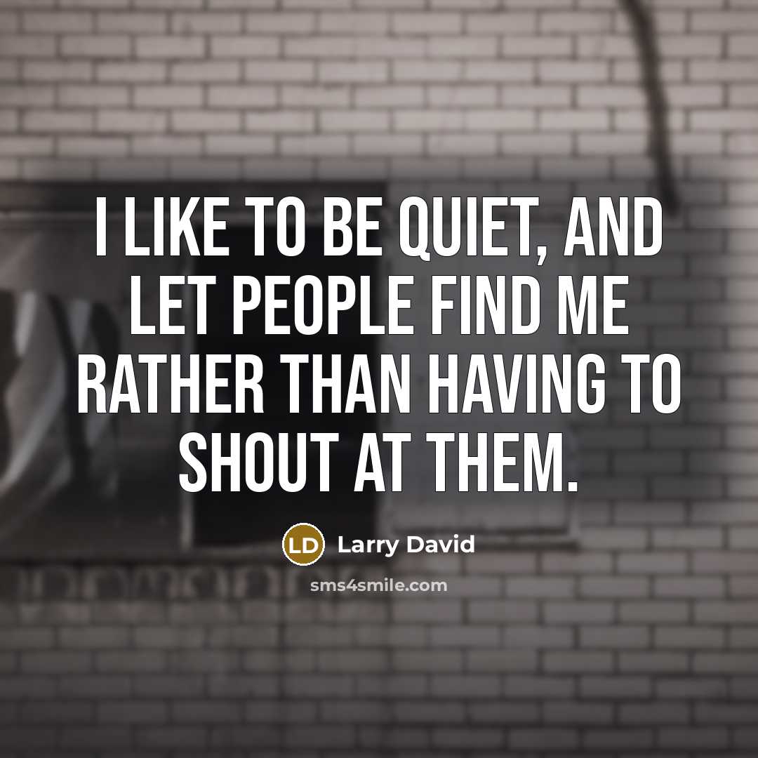 “I like to be quiet, and let people find me…” quote by Larry David