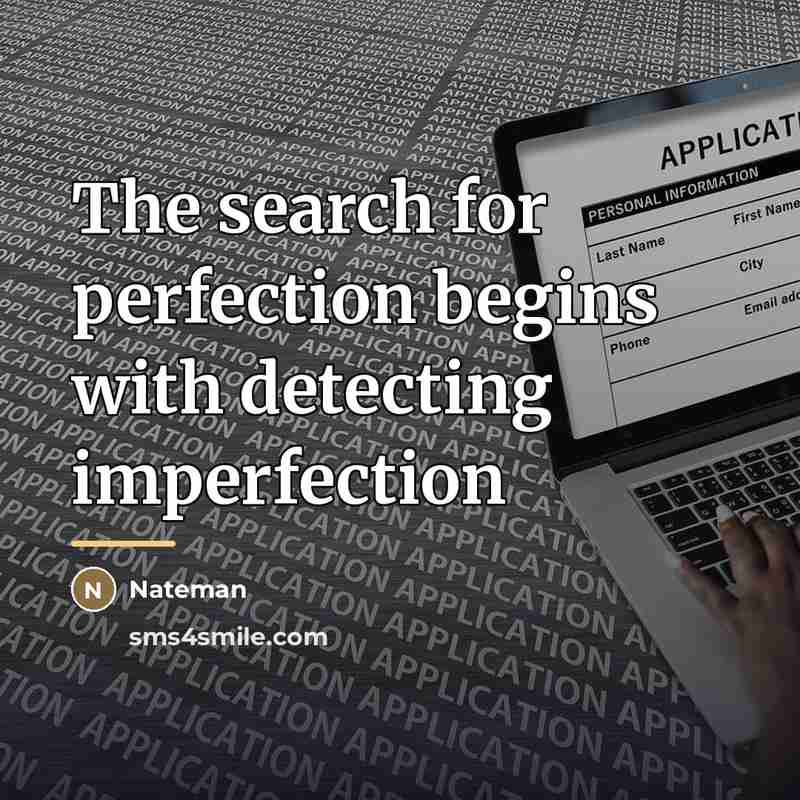 “The search for perfection begins with detecting imperfection…” quote by Nateman