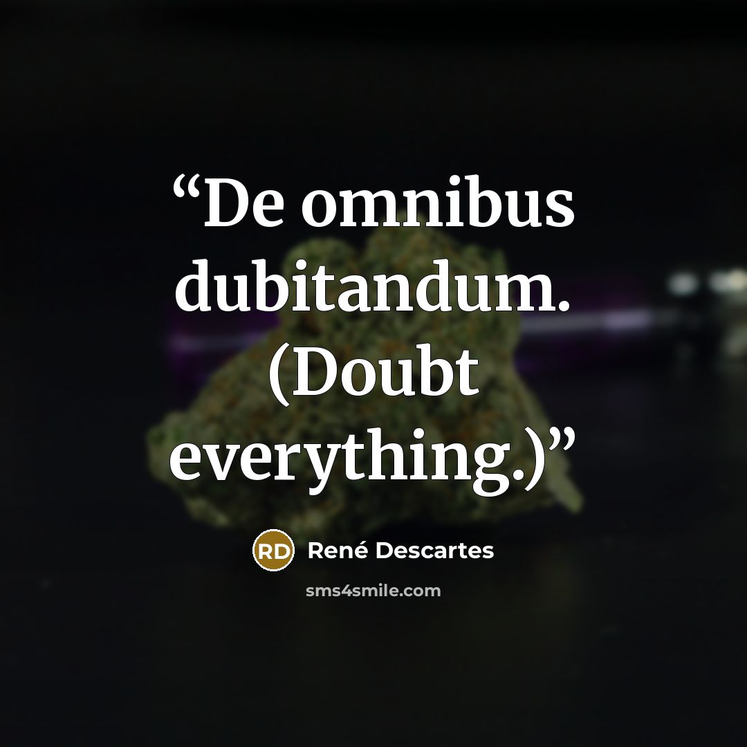 “De omnibus dubitandum. (Doubt everything.)” quote by René Descartes